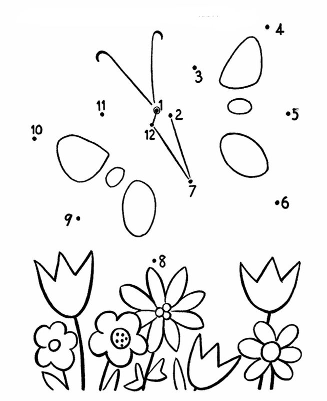 Papillon et fleurs diverses